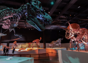Houston Museum of Natural Science Membership