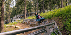 Grouse Mountain Adventure Package for 4