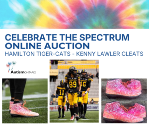 Hamilton Tiger-Cats' Kenny Lawler