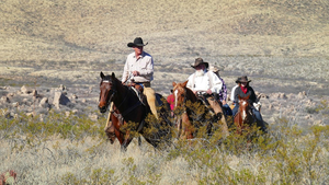 - Tombstone, AZ Dude Ranch Trip!