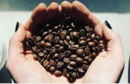 Coffee Exchange - A Year of Coffee