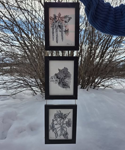 Original Archival Ink Botanical Drawings