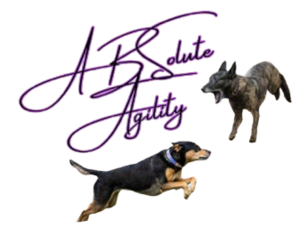 ABSolute Agility