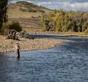 Marabou Fly Fishing Experience