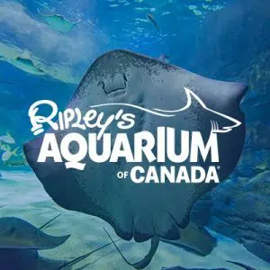 Ripley's Aquarium - 4 Admissions Passes