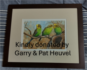 'Budgerigars'