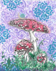 Curious Fungi