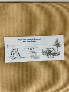 Plymouth Animal Hospital Gift Certificate
