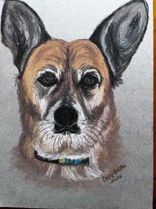 Your Dog Portrait