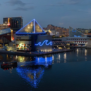 4 Adult National Aquarium passes