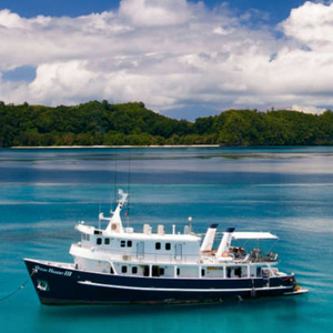 Ocean Hunter Palau Liveaboard for 1
