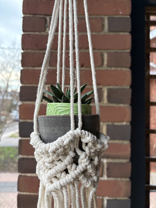 Cotton Macramé Hanging Plant Holders (Set of 2)