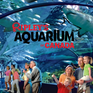 4 VIP Front-of-the-Line Passes - Ripley’s Aquarium