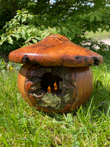 Wooden Mushroom