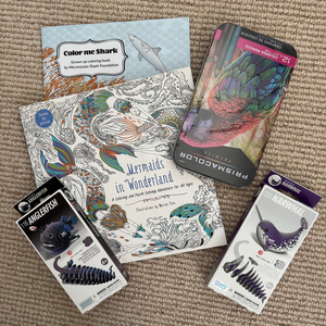 Fun & games coloring book set & puzzle package