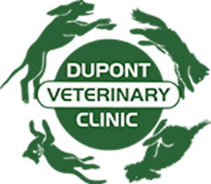 E-02:Dupont Veterinary Clinic Pet Wellness Package