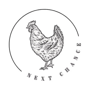 Next Chance Sober Homes
