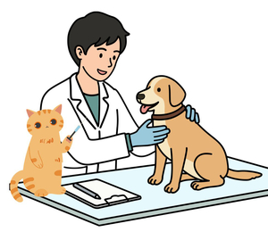 Provide a Rabies Vaccine!