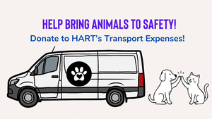 Donate to Help with Transport Expenses!