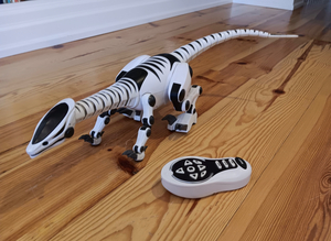 69.  Roboreptile