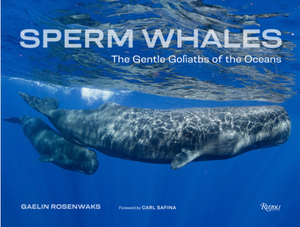 Sperm Whales: The Gentle Goliaths of the Oceans