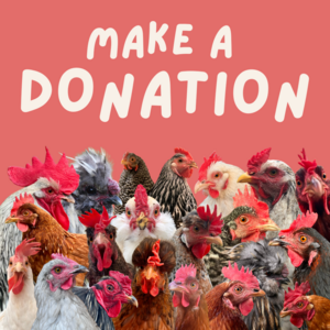 !* DONATE *!