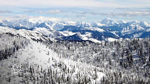 Whitefish Wanderlust