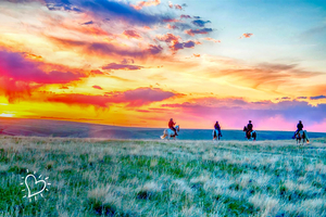Montana Ranch Retreat