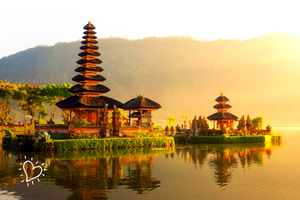 Bali Beauty