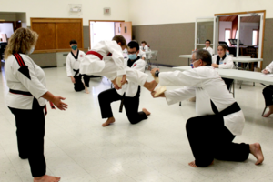 One month of TaeKwon Do Lessons and T-shirt
