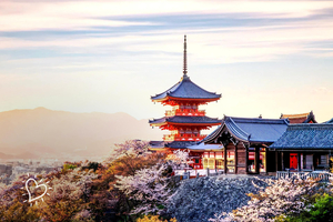 Kyoto Reflections