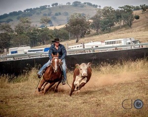 [Lot 2] Horse breaking by Trevor Nash