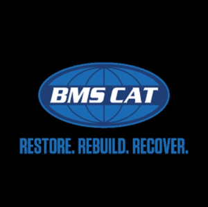 BMS Cat