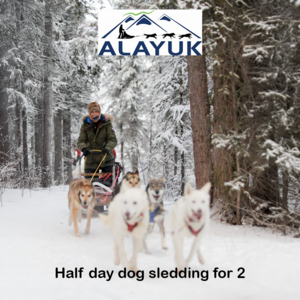 Alayuk - Half-day Dog Sledding Adventure