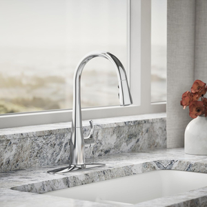 KOHLER Kitchen Faucet