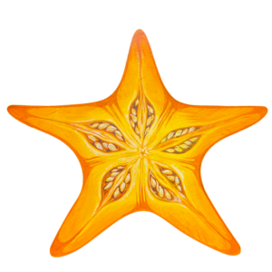 53. Pentagram Stars. STARFISH & STARFRUIT
