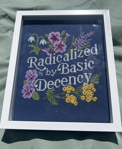 Cross-stitch "Radicalized by Basic Decency"