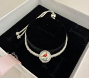 Pandora Bracelet - Delegate Atoosa Reaser