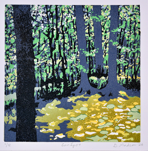 01-46 Sun Spot by Ginnie Madsen