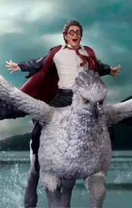#751 Harry Potter & Buckbeak Deluxe Art