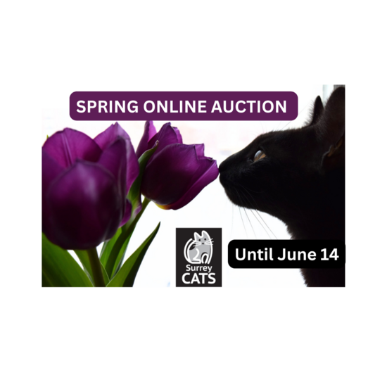 Surrey Community Cat  Foundation