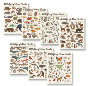 7 Wildlife of Nova Scotia Prints from Midnight Oil