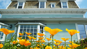 Northshire Bookstore $100 Gift Certificate