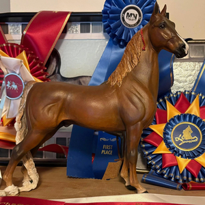 Your Breyer Horse! Customized!