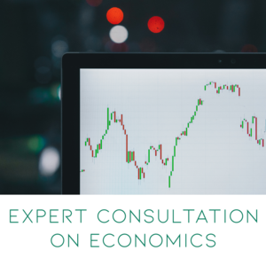 Expert consultation on economics #3