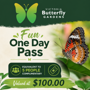 Victoria Butterfly Gardens