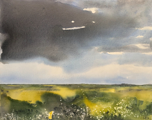 Afternoon Clouds