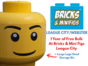 1 Year of Bulk Bricks+Large Lego Storage Head