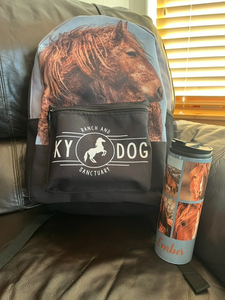 Ember Backpack & Matching Thermos