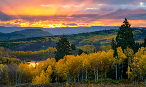 Autumn Awakens II Rabbit Ears Pass